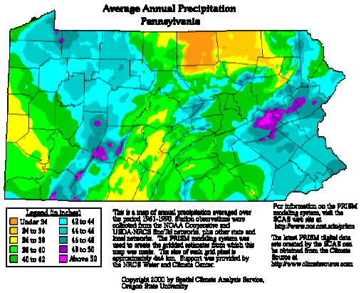 Pine Creek Annual Rainfall 2