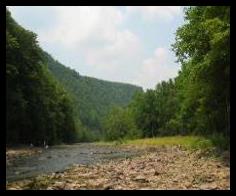 Pine Creek Low Level